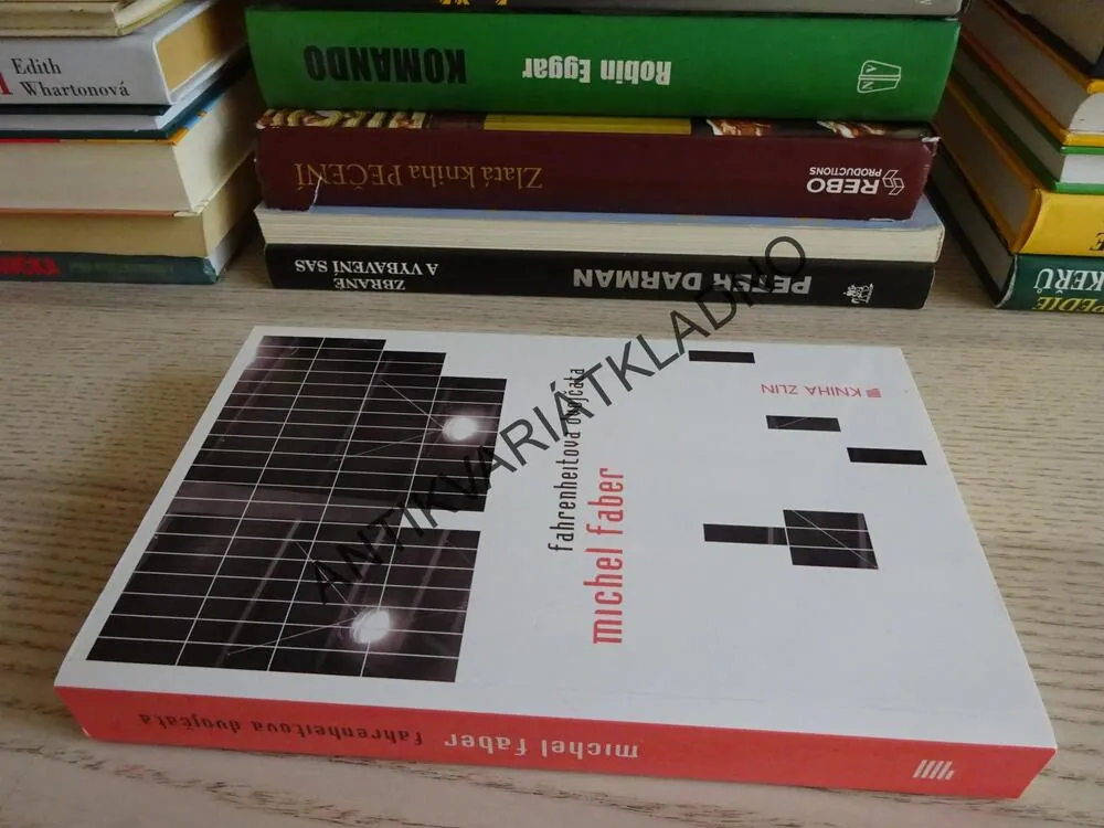 FARENHEITOVA DVOJČATA, MICHEL FABER, **an
