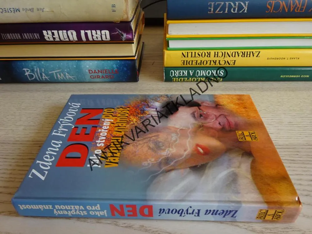 DEN JAKO STVOŘENÝ PRO VÁŽNOU ZNÁMOST, ZDENA FRÝBOVÁ, **an