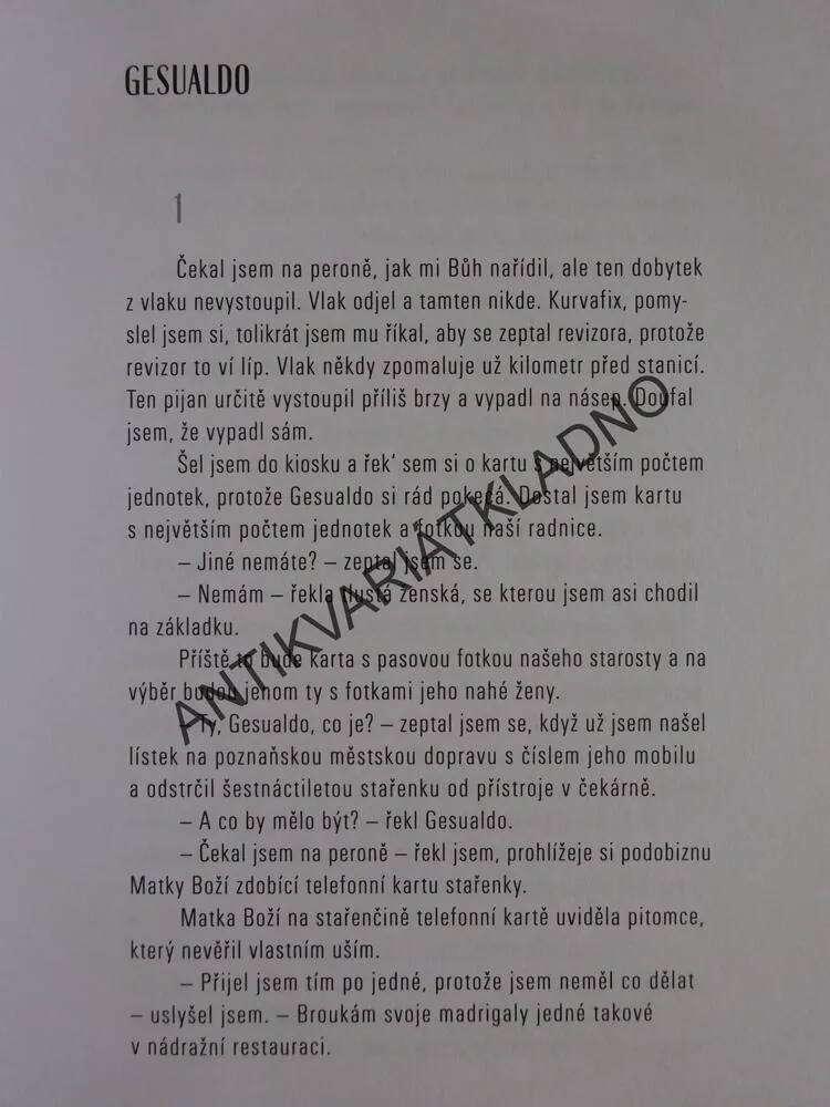 SVATEBNÍ PIZZA, DAREK FOKS, **an