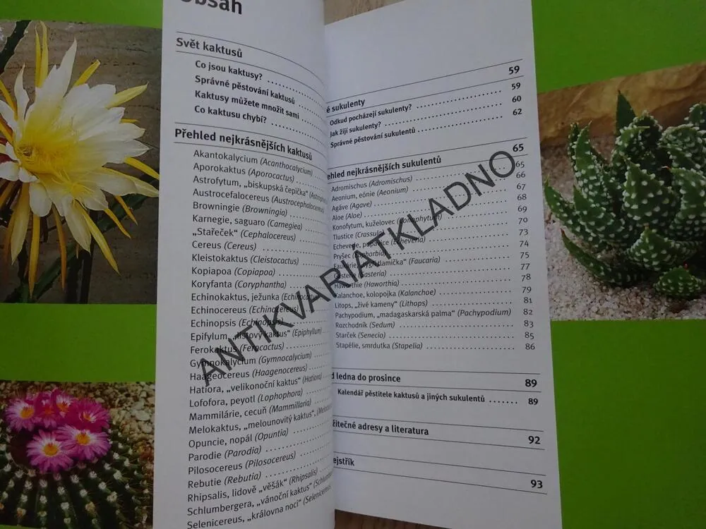 KAKTUSY A JINÉ SUKULENTY, ELISABETH MANKE, **an