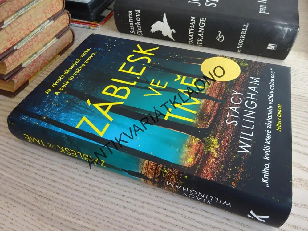 ZÁBLESK VE TMĚ, STACY WILLINGHAM, **an