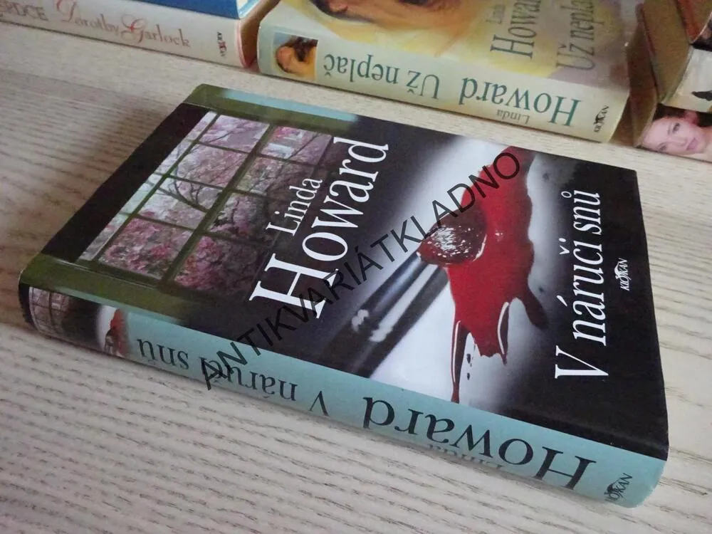 V NÁRUČI SNŮ, LINDA HOWARD, **an