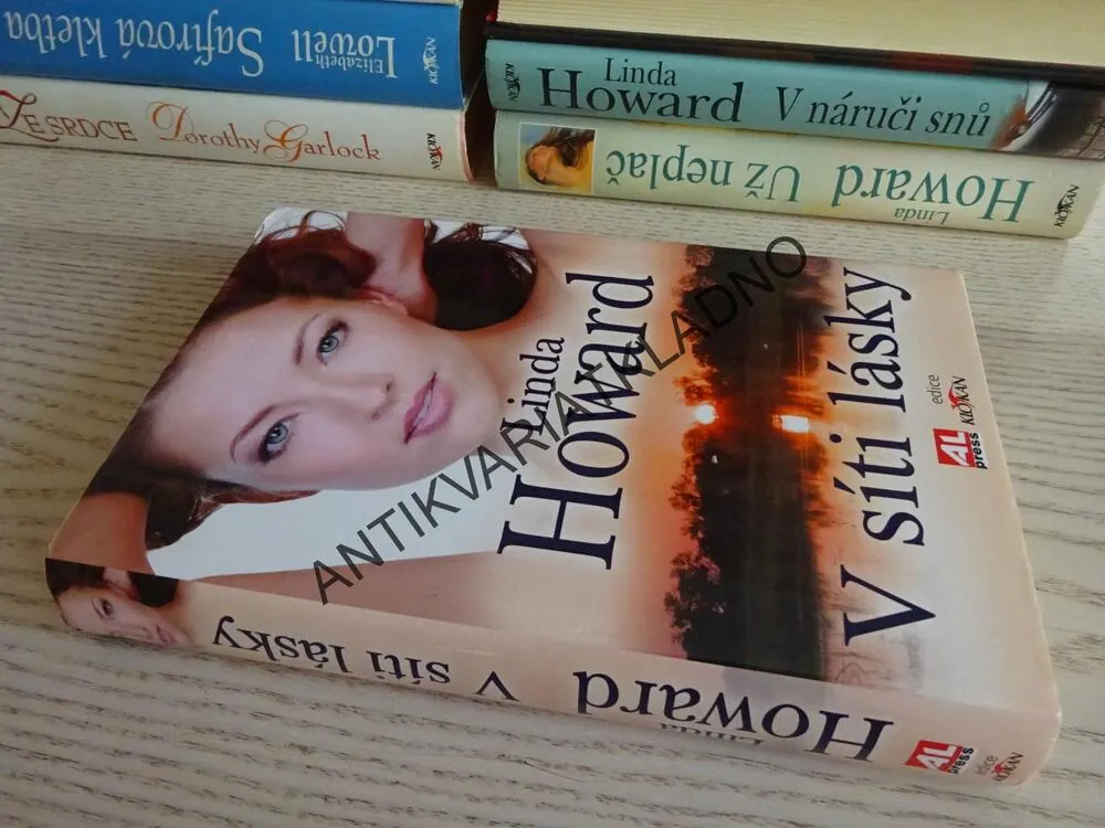 V SÍTI LÁSKY, LINDA HOWARD, **an