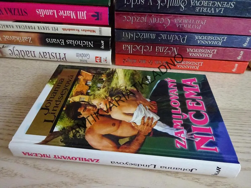 ZAMILOVANÝ NIČEMA, JOHANNA LINDSEYOVÁ, LINDSEY, **an