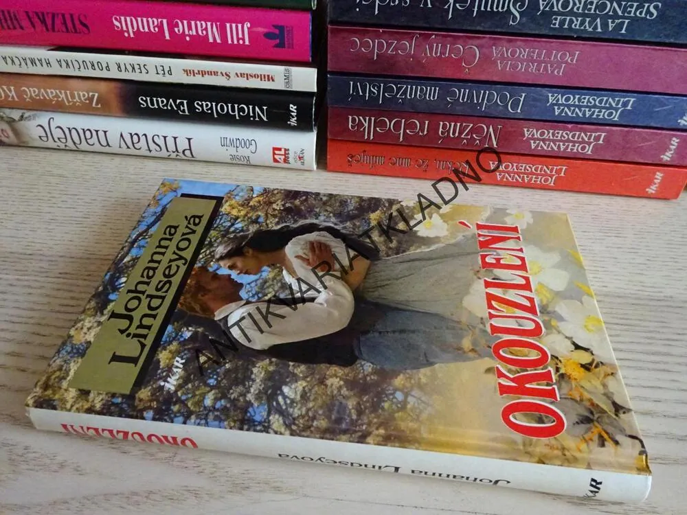 OKOUZLENÍ, JOHANNA LINDSEYOVÁ, LINDSEY, **an