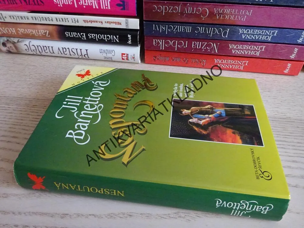 NESPOUTANÁ, JILL BARNETTOVÁ, **an