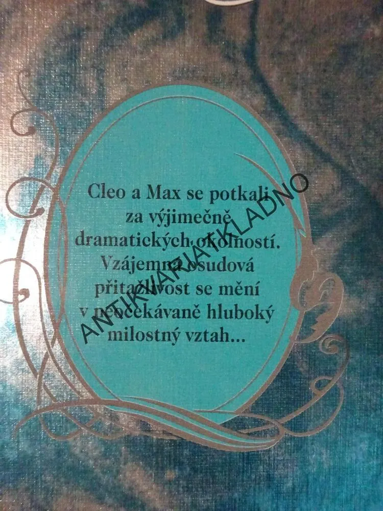 OBRAZ V ZRCADLE, JAYNE ANN KRENTZOVÁ, **an