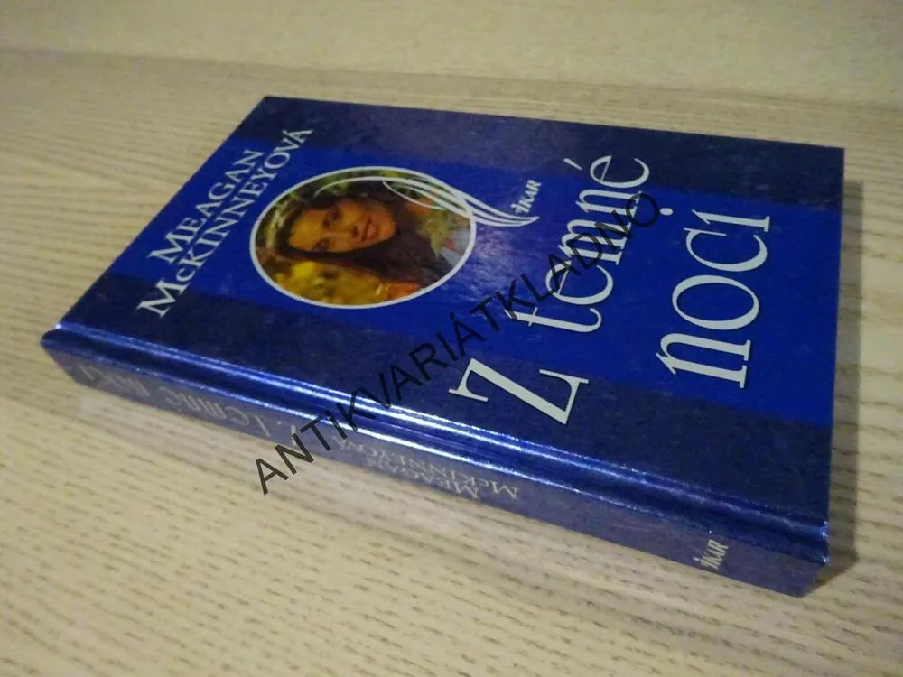 Z TEMNÉ NOCI, MEAGAN MCKINNEYOVÁ, **an