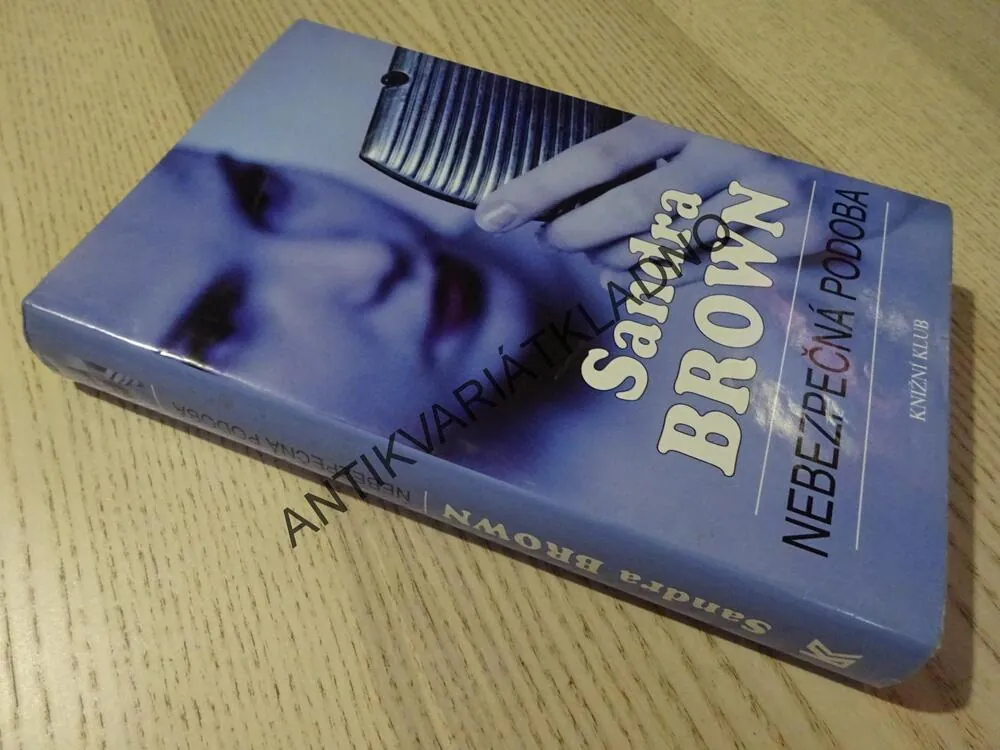 NEBEZPEČNÁ PODOBA, SANDRA BROWN, **an