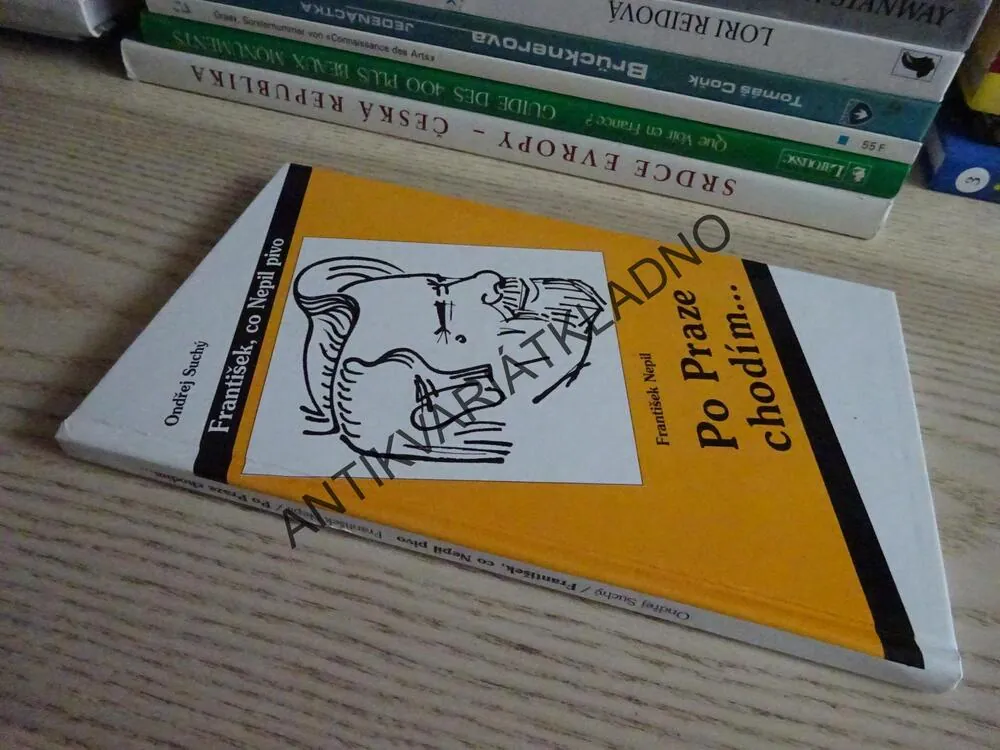 PO PRAZE CHODÍM..., FRANTIŠEK NEPIL, ONDŘEJ SUCHÝ, **an