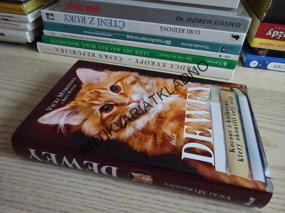 DEWEY, VICKI MYRONOVÁ, BRET WITTER, **an