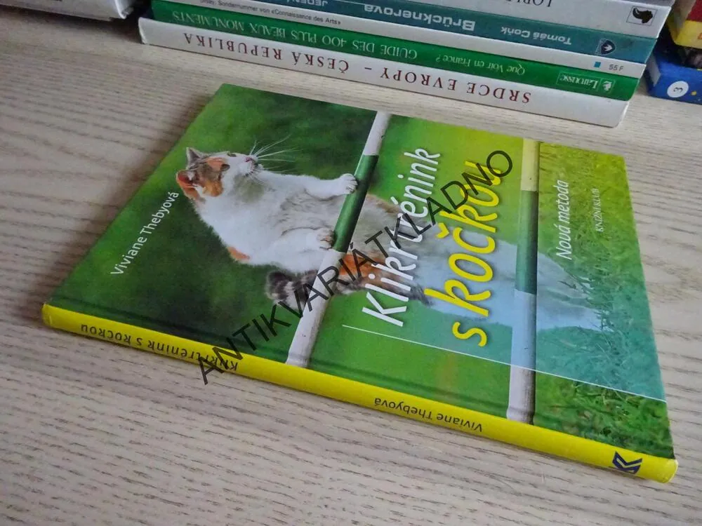 KLIKRTRÉNINK S KOČKOU, VIVIANE THEBYOVÁ, **an