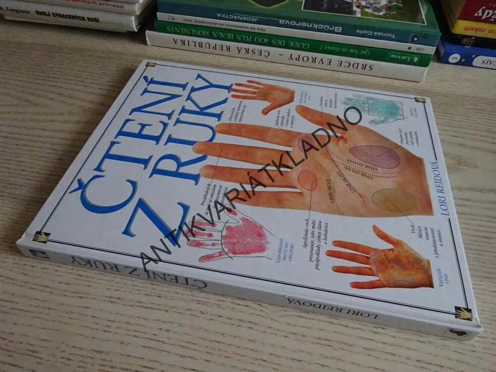 ČTENÍ Z RUKY, LORI REIDOVÁ, **an