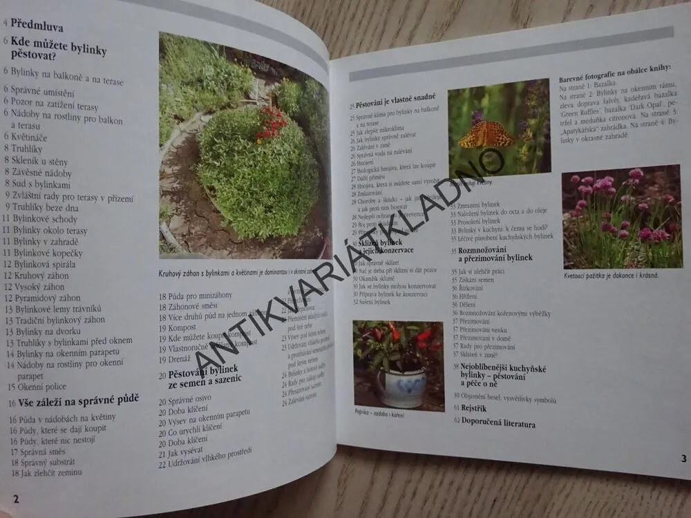 BYLINKY NA OKNĚ, NA BALKONĚ A NA ZAHRADĚ, CHRISTINE RECHTOVÁ, **an