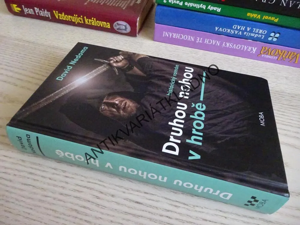 DRUHOU NOHOU V HROBĚ, DAVID NEDOMA, **an