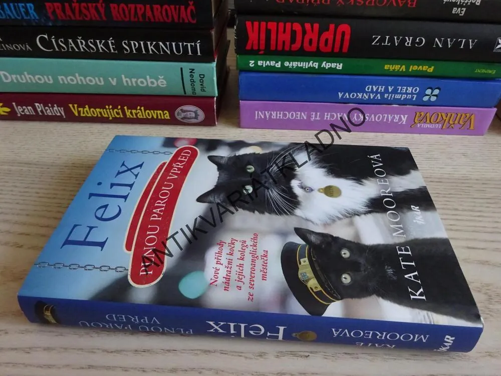 FELIX, PLNOU PAROU VPŘED, KATE MOOREOVÁ, **an