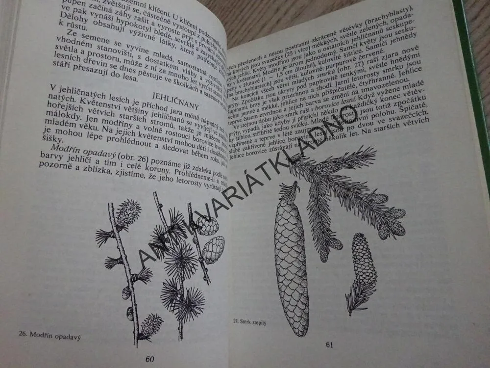 METODIKA SEZNAMOVÁNÍ DĚTÍ S PŘÍRODOU, **an