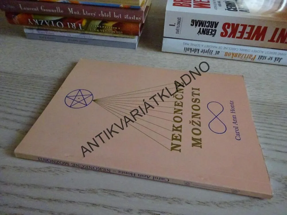 NEKONEČNÉ MOŽNOSTI, CAROL ANN HONTZ, **an