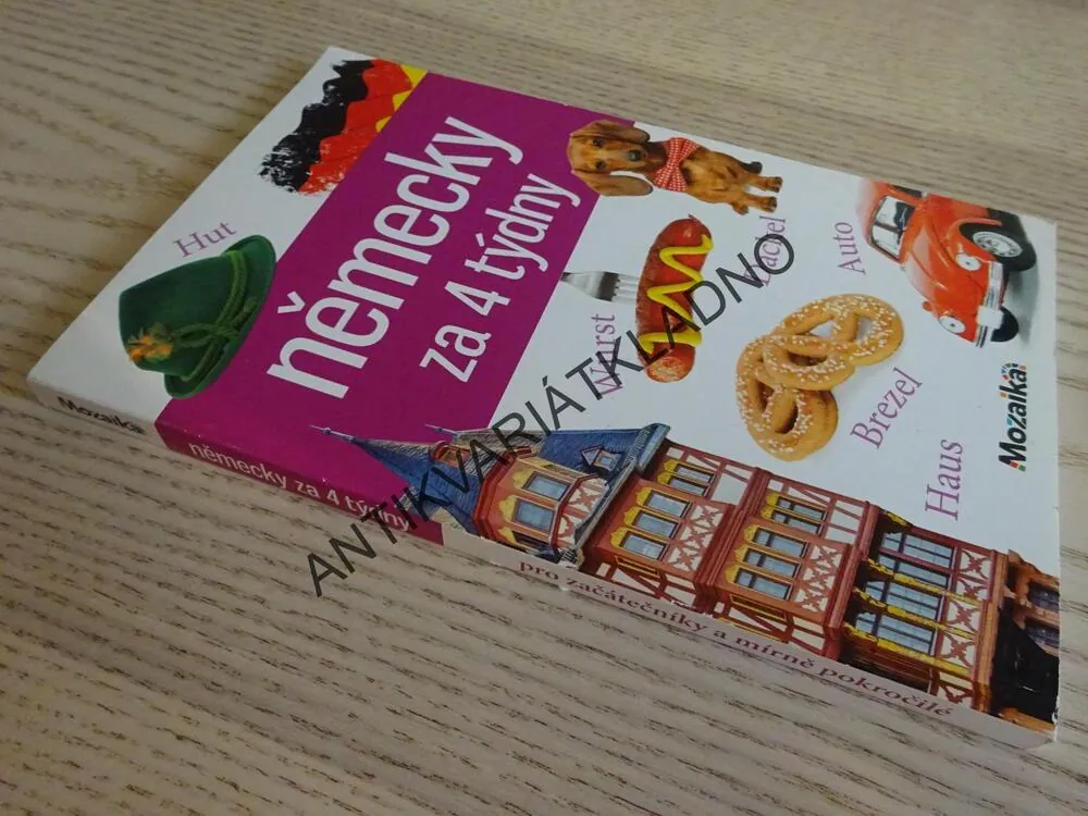 NĚMECKY ZA 4 TÝDNY, **an