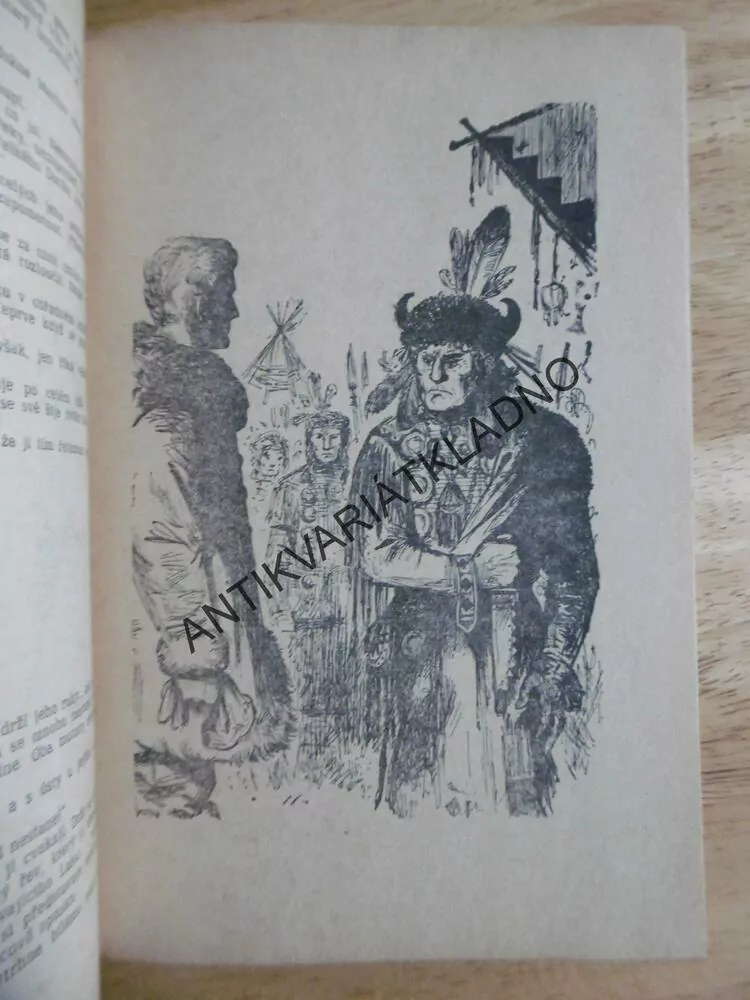STŘÍBRO NA HLADINĚ, MARIE NOVÁKOVÁ