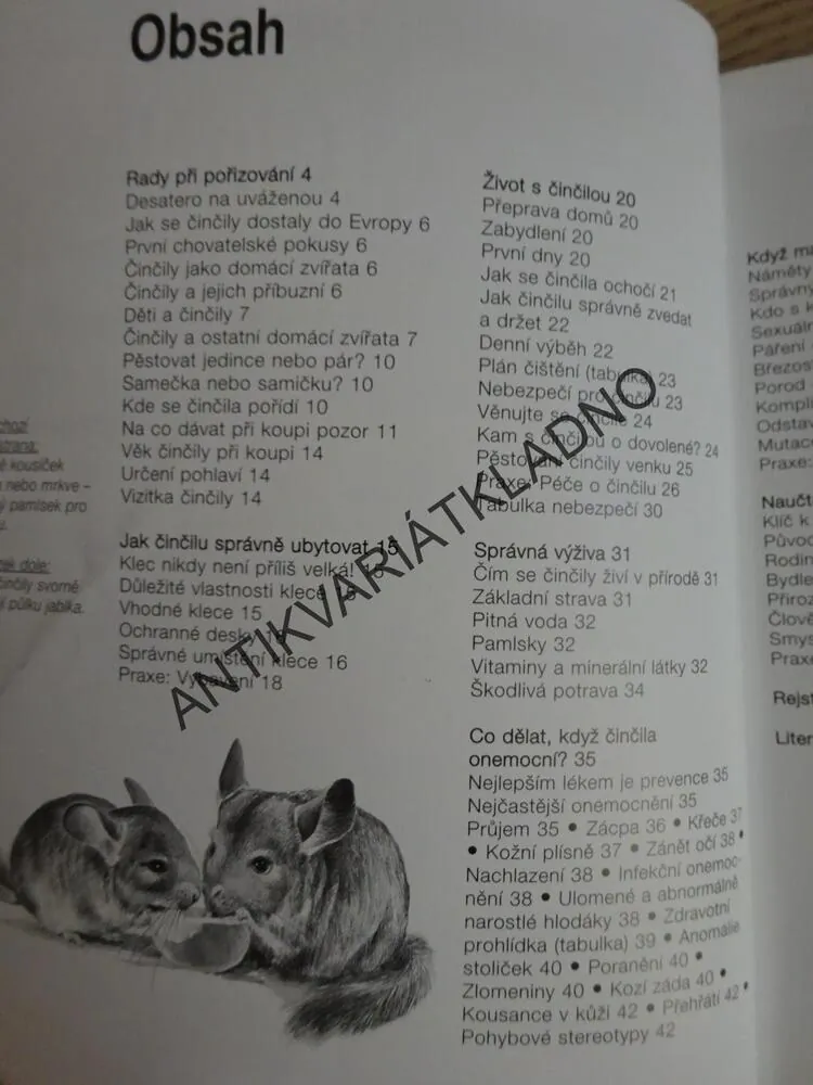 ČINČILA JAKO DOMÁCÍ ZVÍŘE, MAIKE RÖDER-THIEDEOVÁ,**an