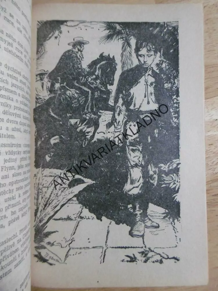 ZTRACENI V PUSTINĚ, FRANCIS BRET HARTE, BURIAN