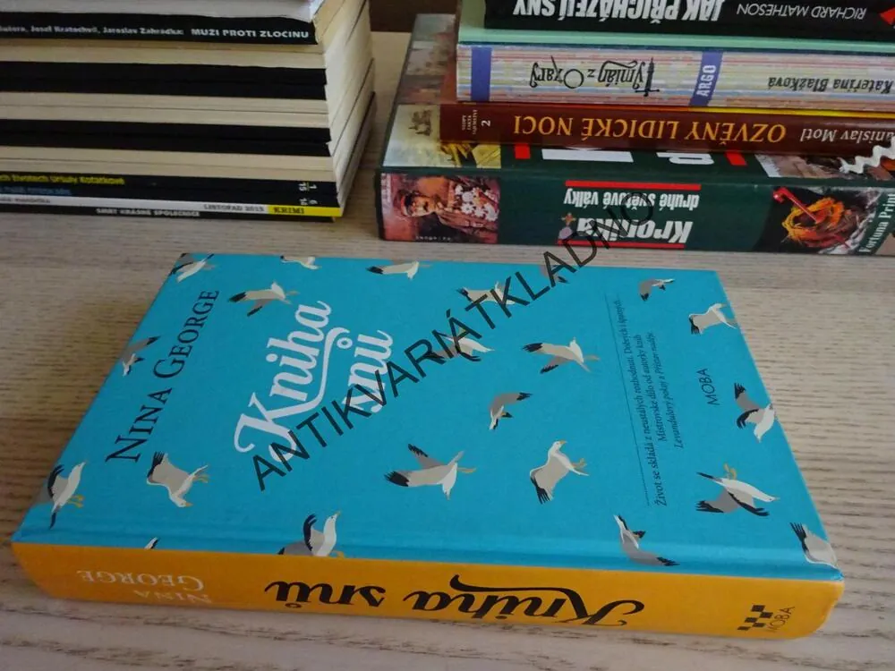 KNIHA SNŮ, NINA GEORGE, **an