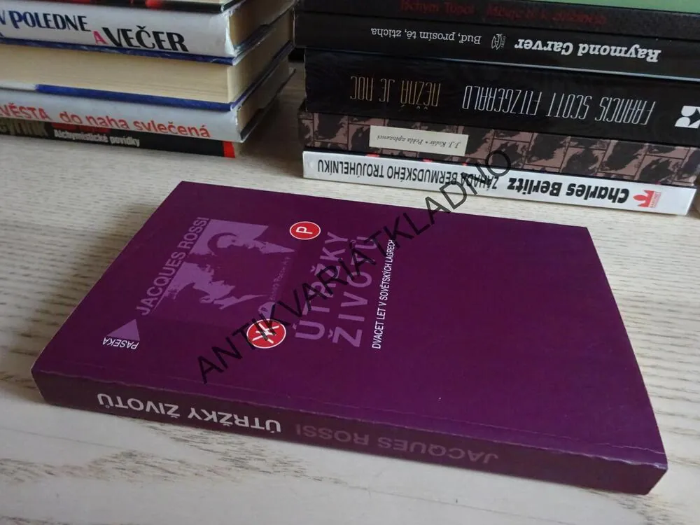 ÚTRŽKY ŽIVOTŮ, JACQUES ROSSI, **an