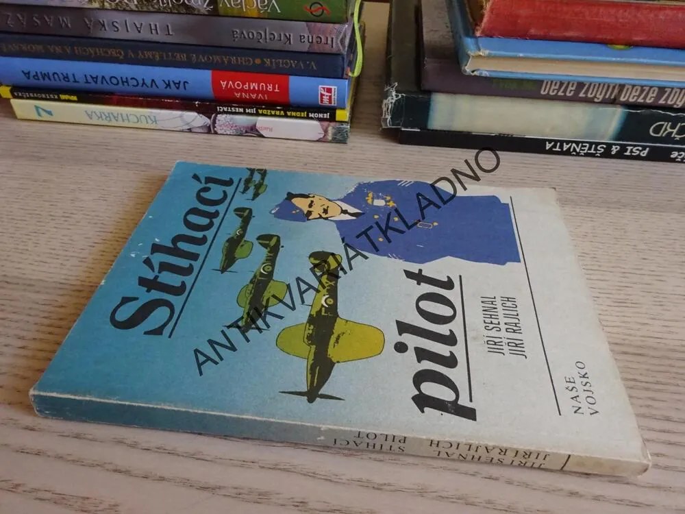 STÍHACÍ PILOT, JIŘÍ RAJLICH, JIŘÍ SEHNAL, **an 