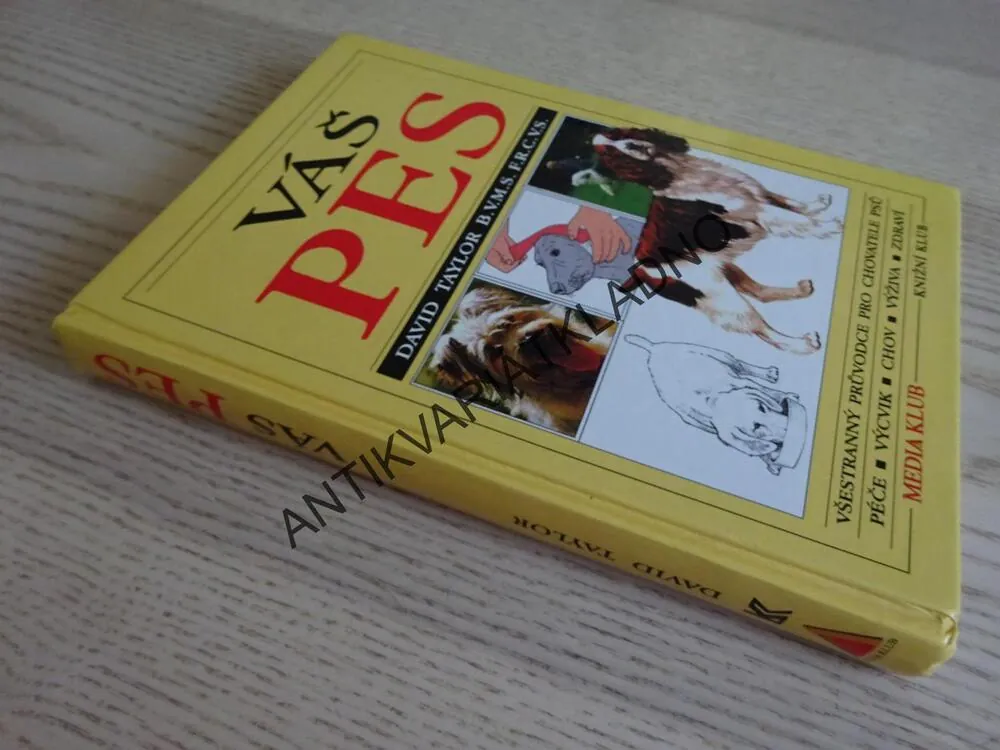 VÁŠ PES, DAVID TAYLOR, **an