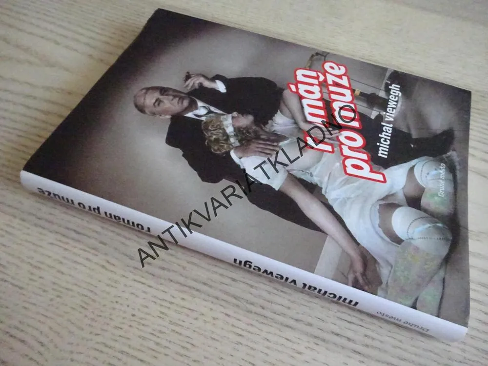 ROMÁN PRO MUŽE, MICHAL VIEWEGH, **an