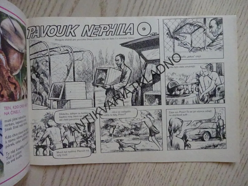 OHNÍČEK 9/1976, KOMIKS, NEPRAKTA, SEKORA, BURIAN