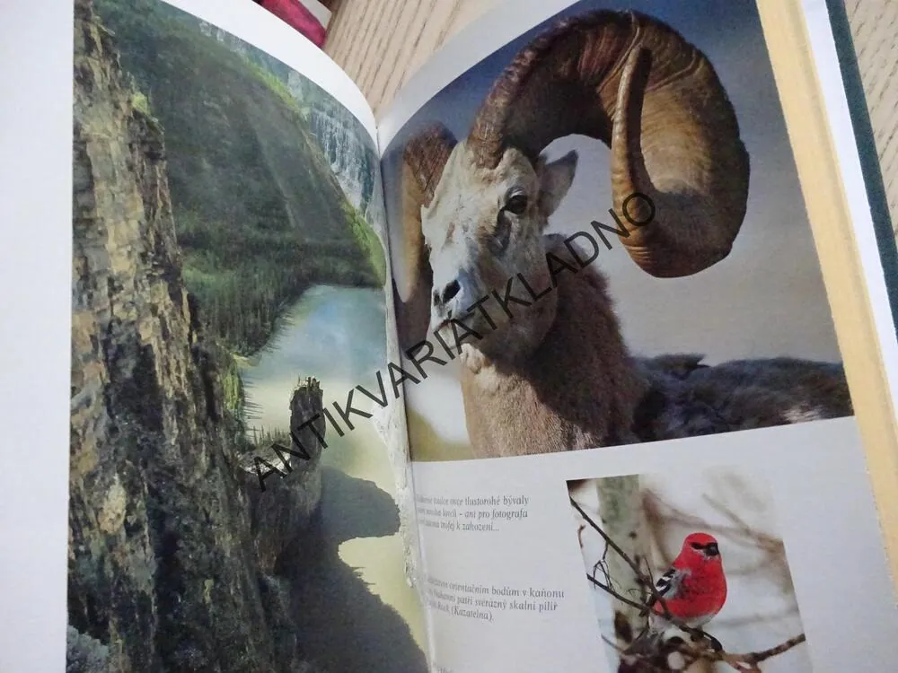 NAHANNI, BOB J. MORAVEC, **an