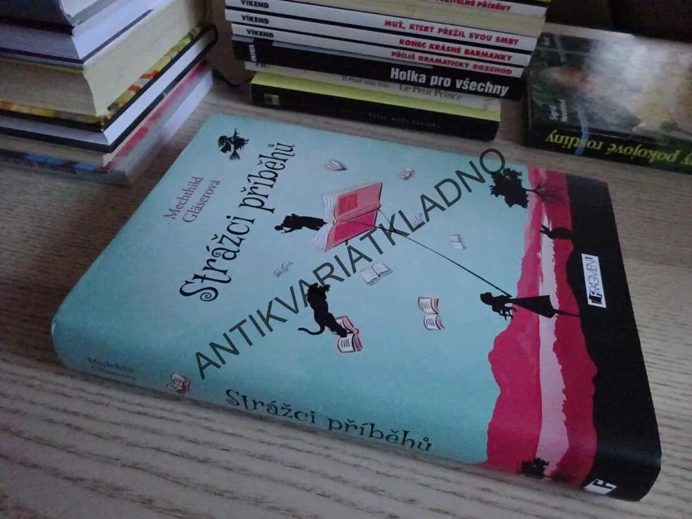 STRÁŽCI PŘÍBĚHU, MECHTHILD GLÄSEROVÁ, **an