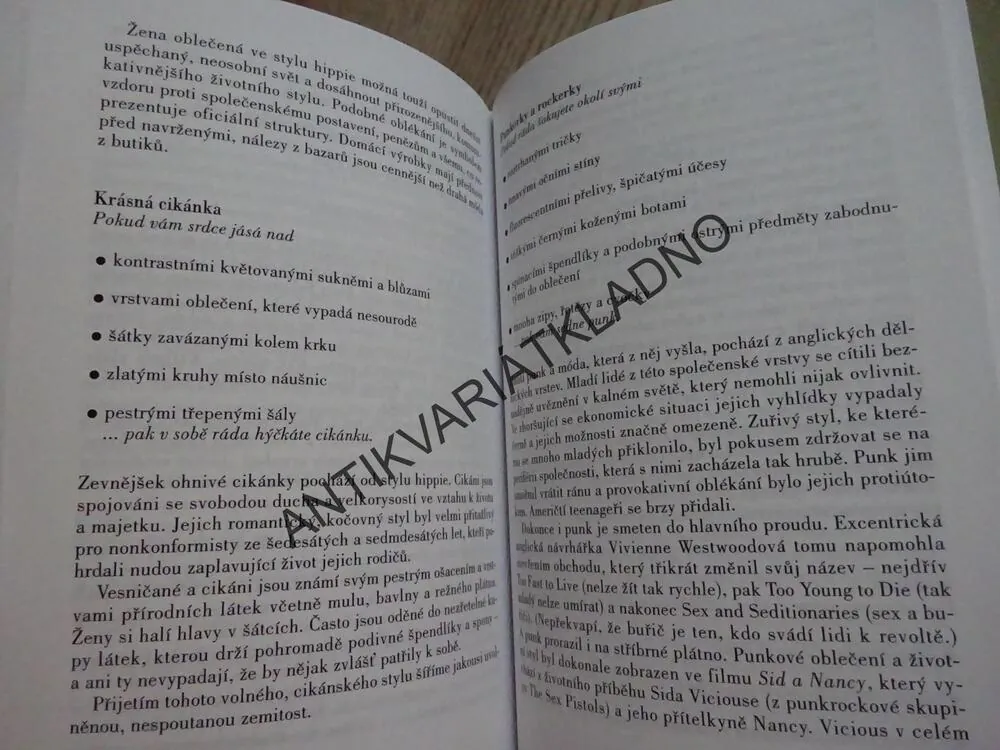 TAJEMNÁ ŘEČ MÓDY, CO ŘÍKÁME SVÝM OBLEČENÍM, TOBY FISHEROVÁ MIRKINOVÁ, **an