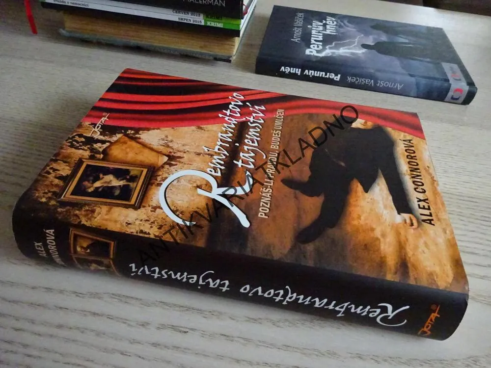 REMBRANDTOVO TAJEMSTVÍ, ALEX CONNOROVÁ, **an