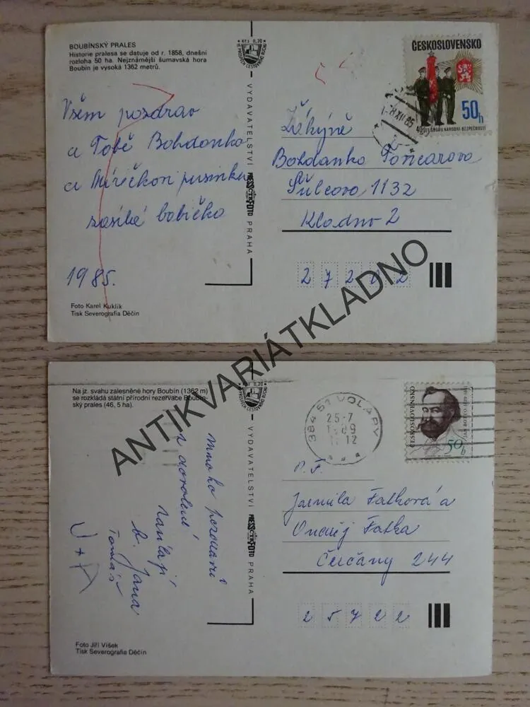 BOUBÍN, BOUBÍNSKÝ PRALES, OKRES KLATOVY, 2 KUSY