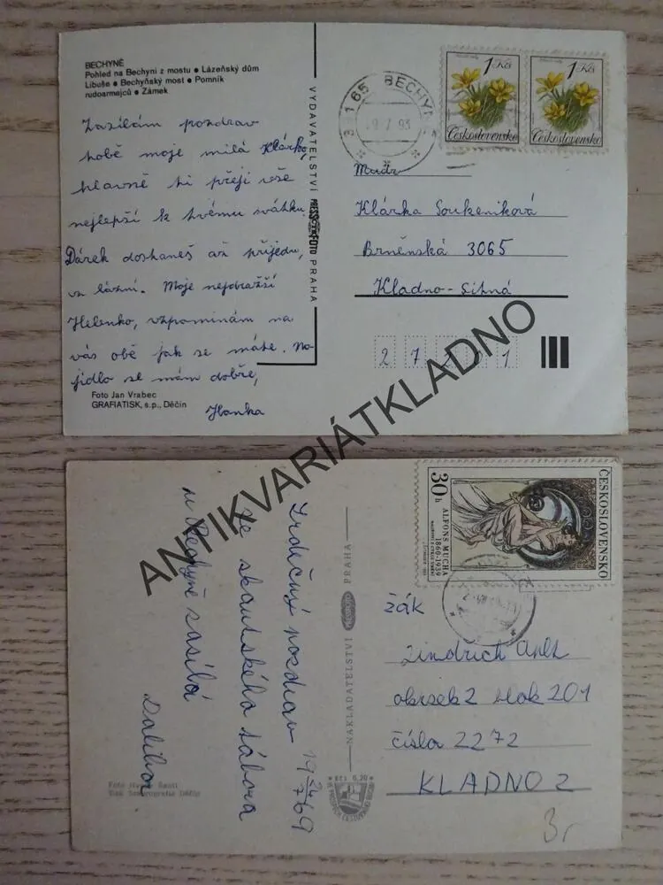 BECHYNĚ, LÁZNĚ, ZÁMEK, OKRES TÁBOR, 2 KUSY