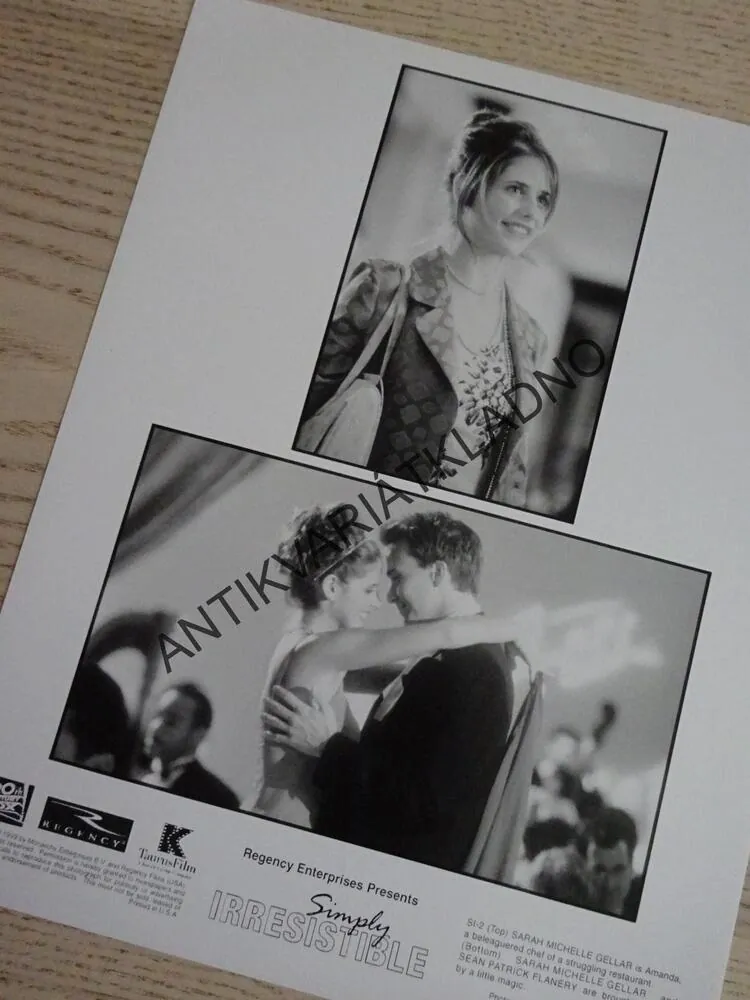 NEODOLATELNÁ, SIMPLY IRRESISTIBLE, 2X FOTOSKA FILM