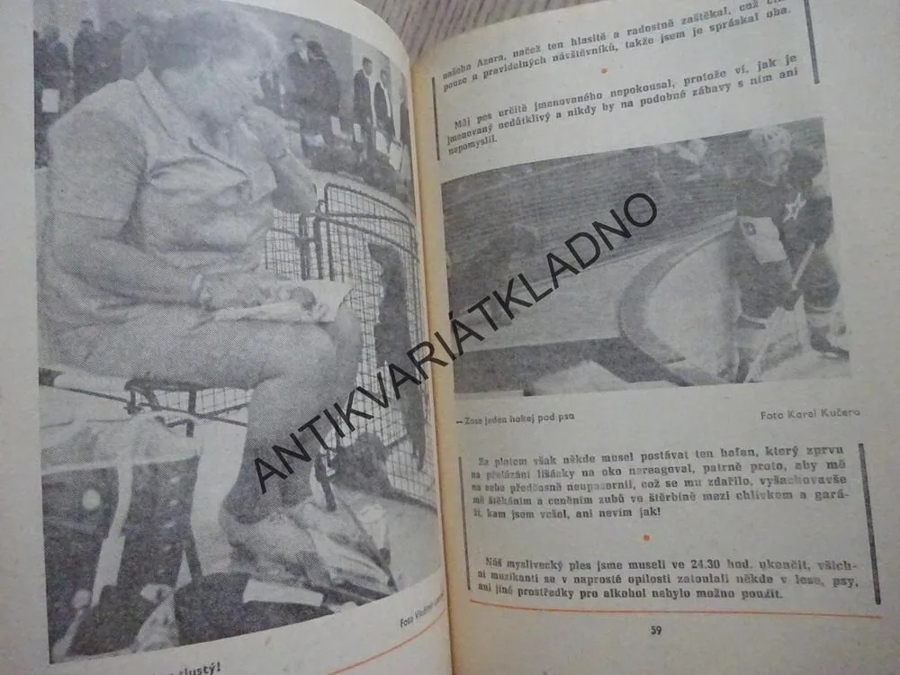 MAGAZÍN DIKOBRAZU