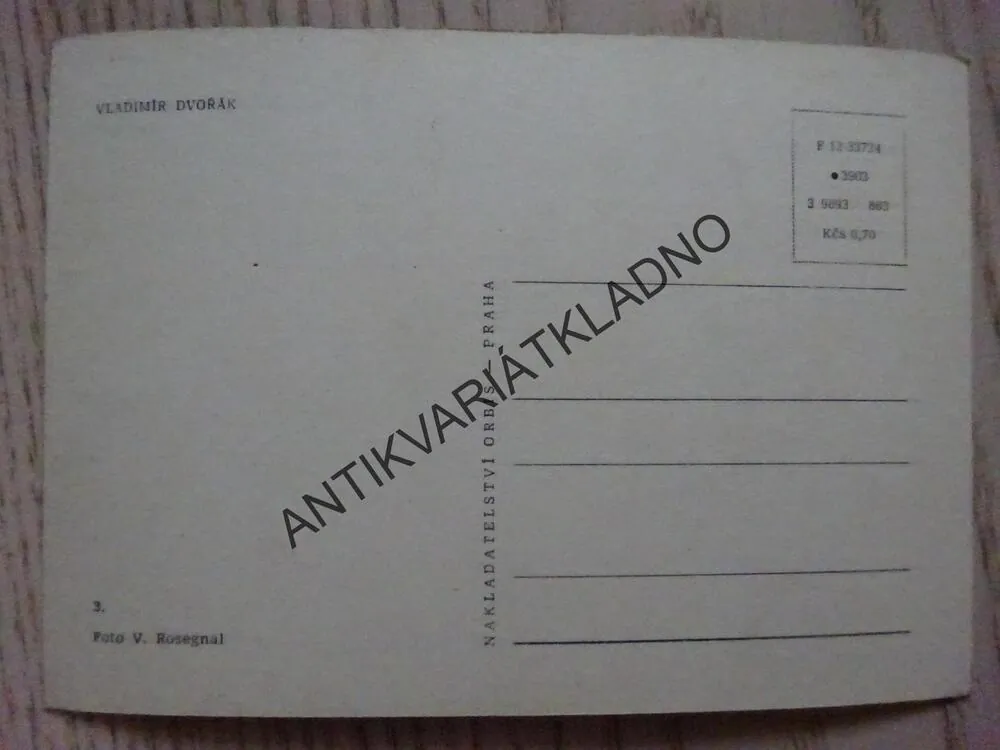DVOŘÁK VLADIMÍR
