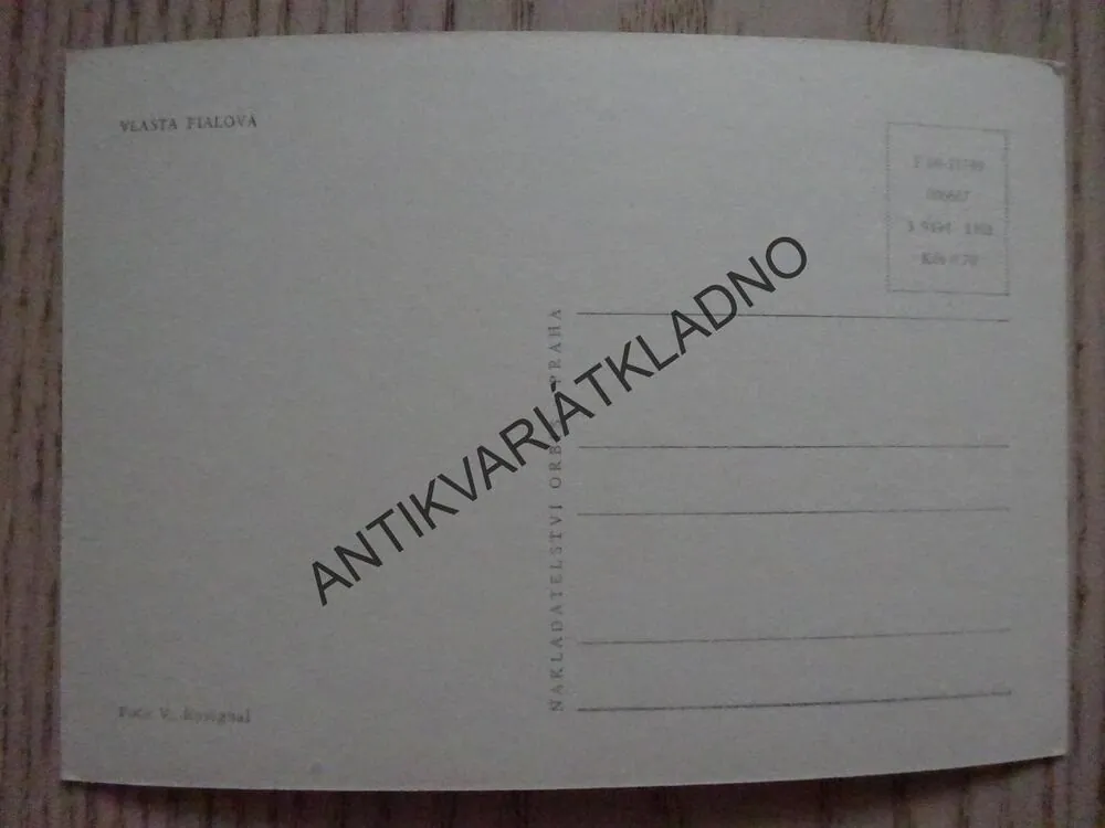 FIALOVÁ VLASTA