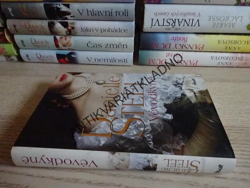 VÉVODKYNĚ, DANIELLE STEEL, **an
