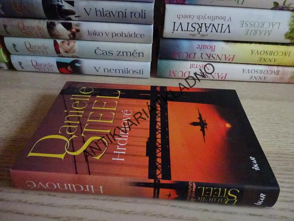 HRDINOVÉ, DANIELLE STEEL, **an