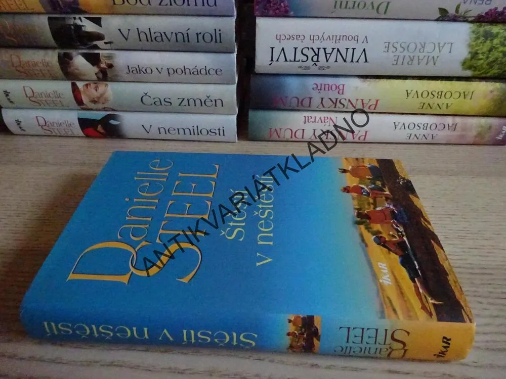 ŠTĚSTÍ V NEŠTĚSTÍ, DANIELLE STEEL, **an