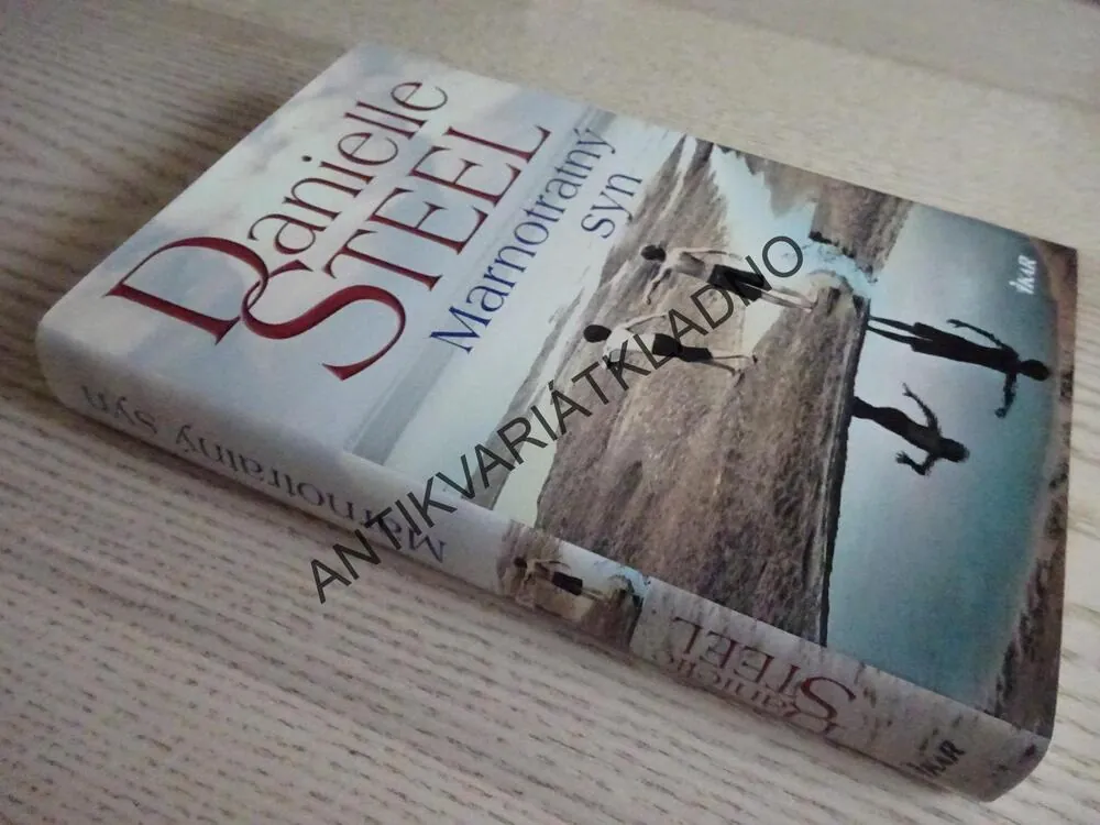 MARNOTRATNÝ SYN, DANIELLE STEEL, **an