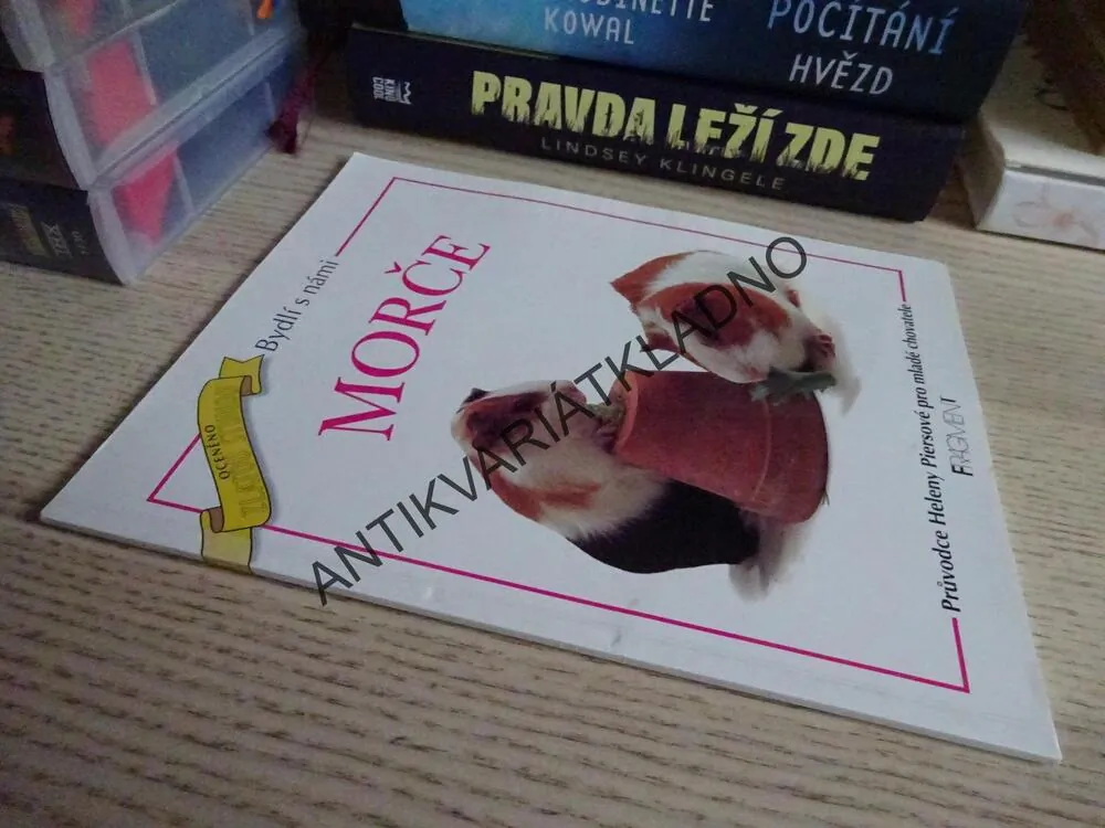 BYDLÍ S NÁMI MORČE, HELENA PIERSOVÁ,**an