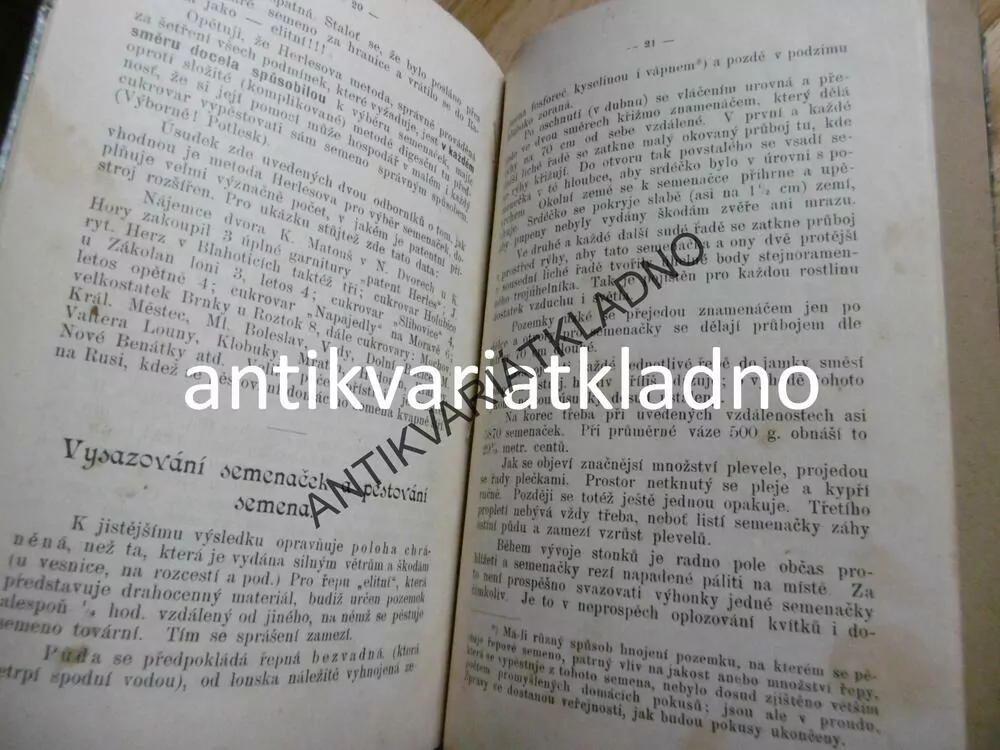 PĚSTOVÁNÍ ŘEPOVÉHO SEMENE, ČASOVÁ ÚVAHA,K.NOVÝ