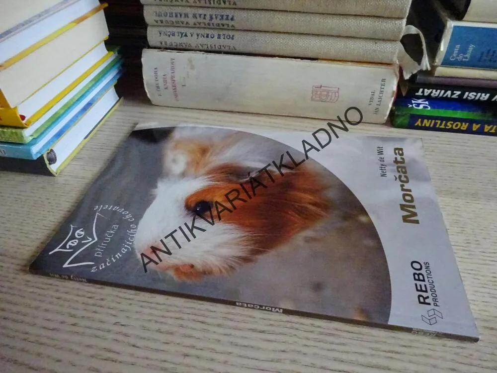 MORČATA, NETTY DE WIT, **an