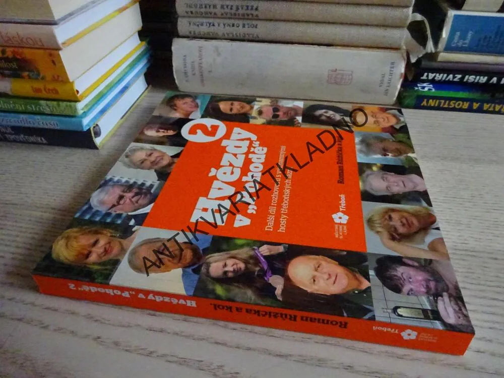 HVĚZDY V "POHODĚ" 2, ROMAN RŮŽIČKA, ROZHOVORY, **an